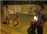 Camnews