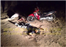 Camnews