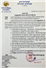 Camnews