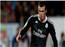 Camnews