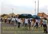 Camnews