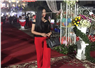 Camnews