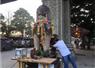 Camnews