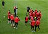 Camnews