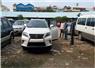 Camnews