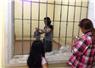 Camnews