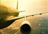 Camnews