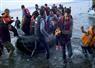 Camnews