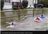 Camnews