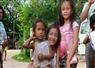 Camnews