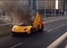 Camnews