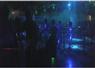 Camnews