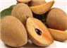 Camnews