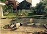 Camnews