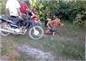 Camnews