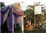 Camnews
