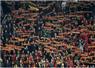Camnews