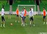 Camnews