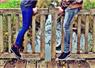 Camnews