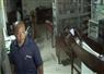 Camnews