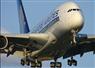 Camnews