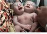 Camnews