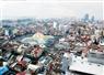 Camnews
