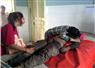 Camnews