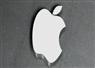 Camnews