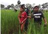 Camnews
