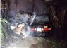 Camnews