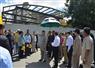 Camnews