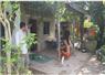 Camnews