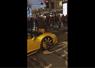 Camnews