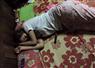 Camnews