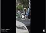 Camnews