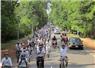 Camnews
