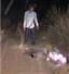Camnews