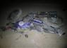 Camnews