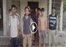 Camnews