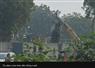 Camnews