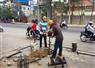 Camnews