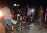 Camnews