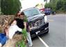 Camnews