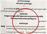 Camnews