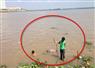Camnews