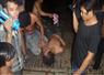 Camnews