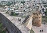 Camnews