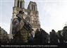 Camnews