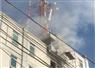 Camnews
